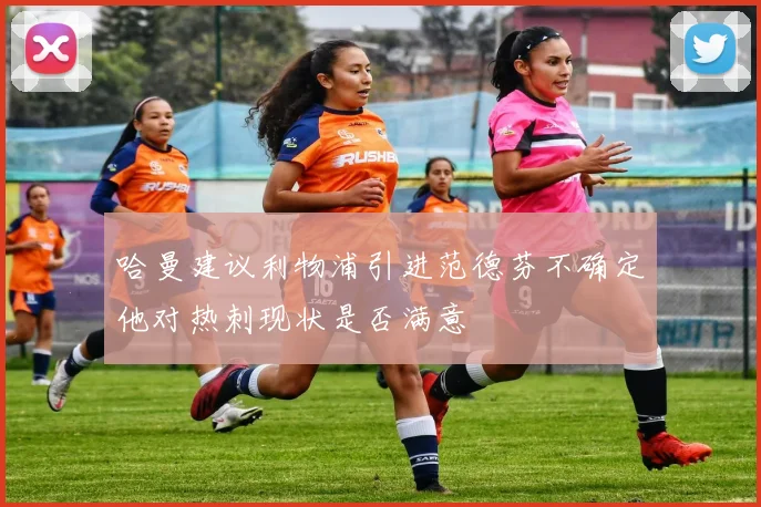 哈曼建议利物浦引进范德芬不确定他对热刺现状是否满意