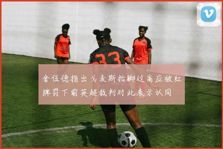 舍伍德指出戈麦斯抬脚过高应被红牌罚下前英超裁判对此表示认同