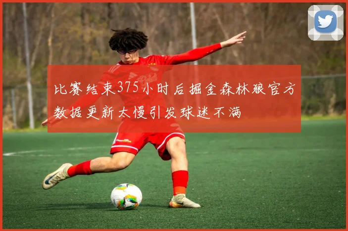 比赛结束375小时后掘金森林狼官方数据更新太慢引发球迷不满