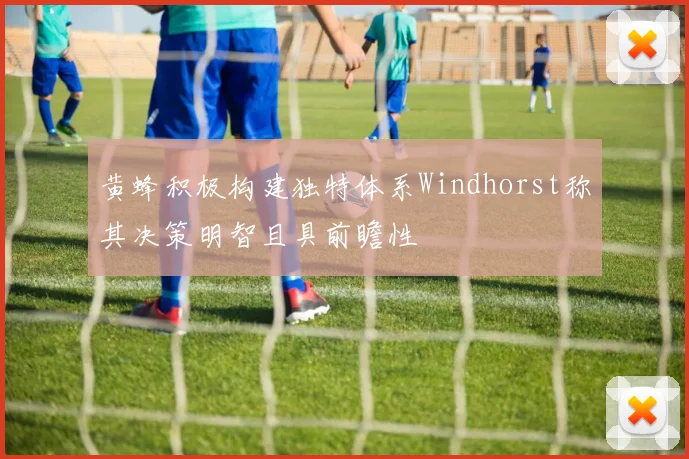 黄蜂积极构建独特体系Windhorst称其决策明智且具前瞻性
