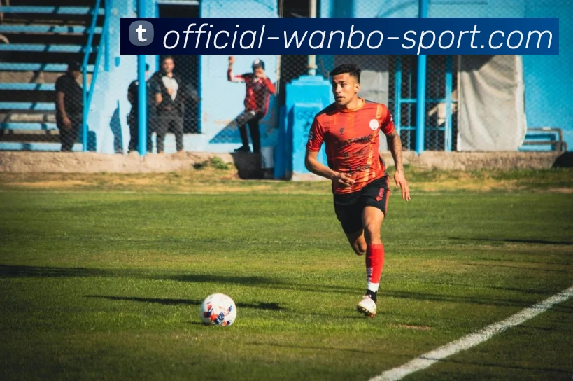 万博体育平台生态图